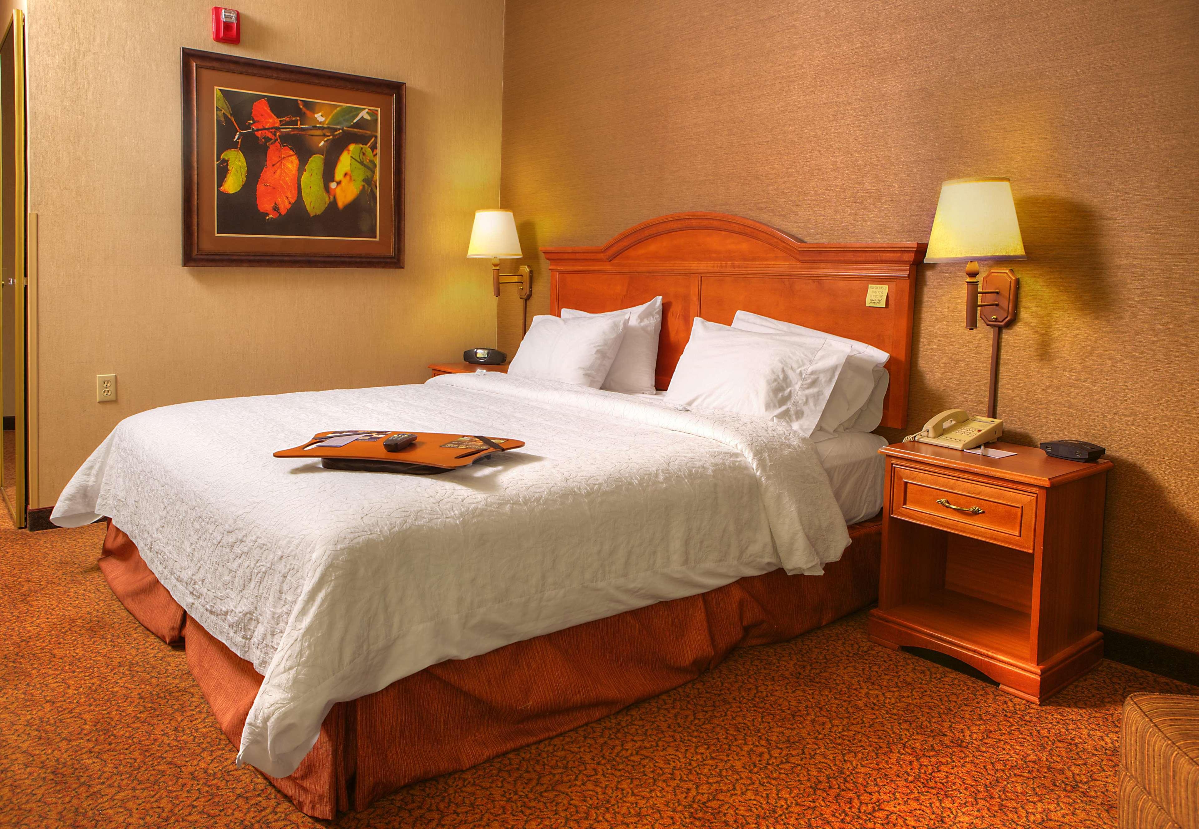Comfort Inn & Suites Rapid City Near Mt Rushmore Zewnętrze zdjęcie
